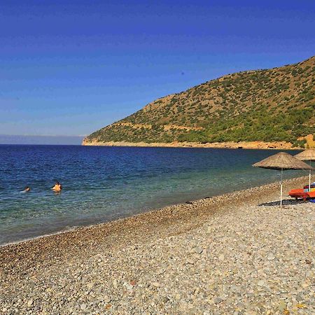 Melinda Pension & Restaurant Mesudiye  Eksteriør bilde